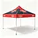 10 x 10 canopy